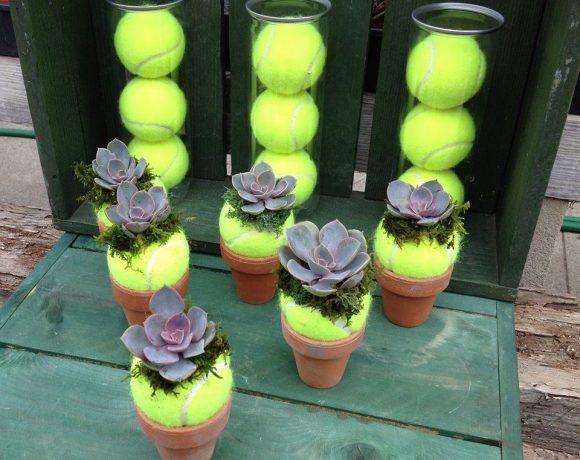 Plant Holder